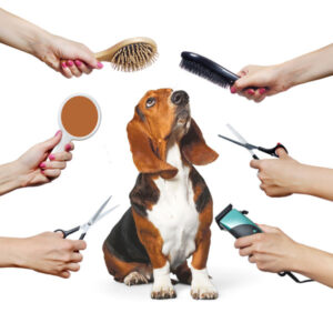 Dog grooming