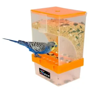 Bird feeding gadgets