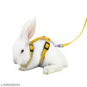 Body Building Adjustable Rabbit Harness Leash Bunny Harness Leash, Harness Leash for Pet Safety Walk Running Jogging, Pet Harness Leash for Bunny