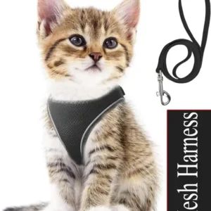 "petphilo's" Padded Harness for Small Puppy/Kitten/Cat Vest Harnesses Cat/Dog Training Soft Mesh Comfort Padded Vest Harness for Small Dogs, Cat, Puppies 10 MM Nylon Leash - Colour as Vary