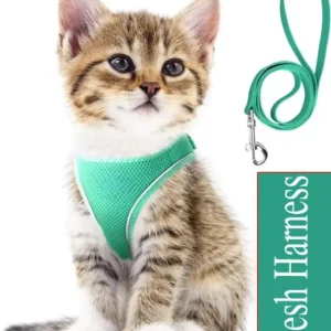"petphilo's" Dog Harness with Adjustable Leash|Breathable Polyester Mesh Fabric with Top Carry Handle|Small Size - Multicolour