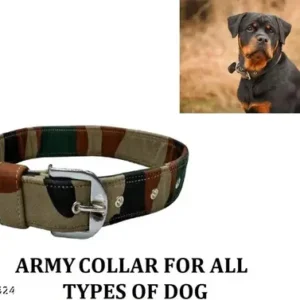 petphilo's Dog Everyday Collar (Large, Army)