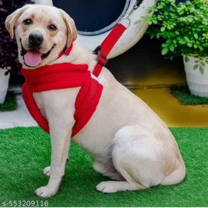 petphilo's Dog Chest Belt Soft Padded Fur Harness, Collar & Leash Combo Set